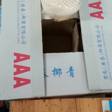 海南椰青