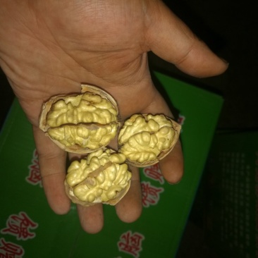 185纸皮核桃/阿克苏新2核桃