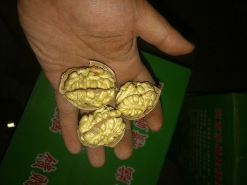 185纸皮核桃/阿克苏新2核桃