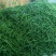L3F1辣椒15~20厘米中辣红