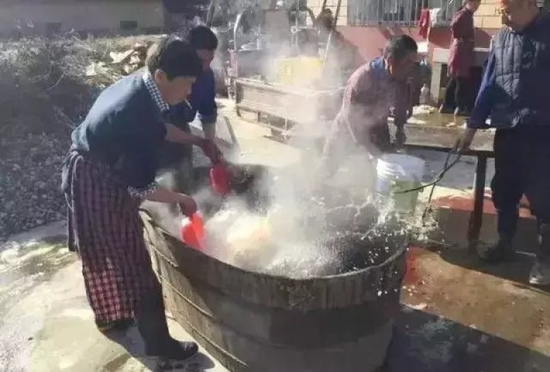 大别山农家散养食五谷杂粮黑土猪肉