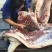 大别山农家散养食五谷杂粮黑土猪肉