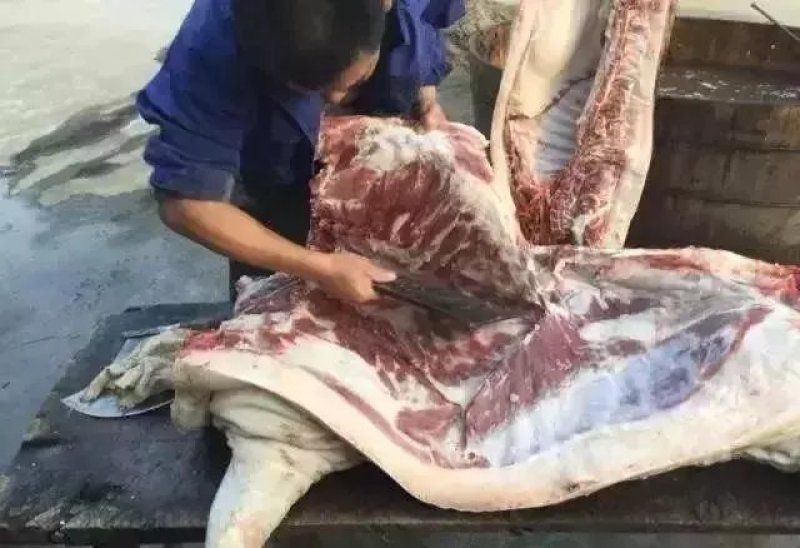 大别山农家散养食五谷杂粮黑土猪肉