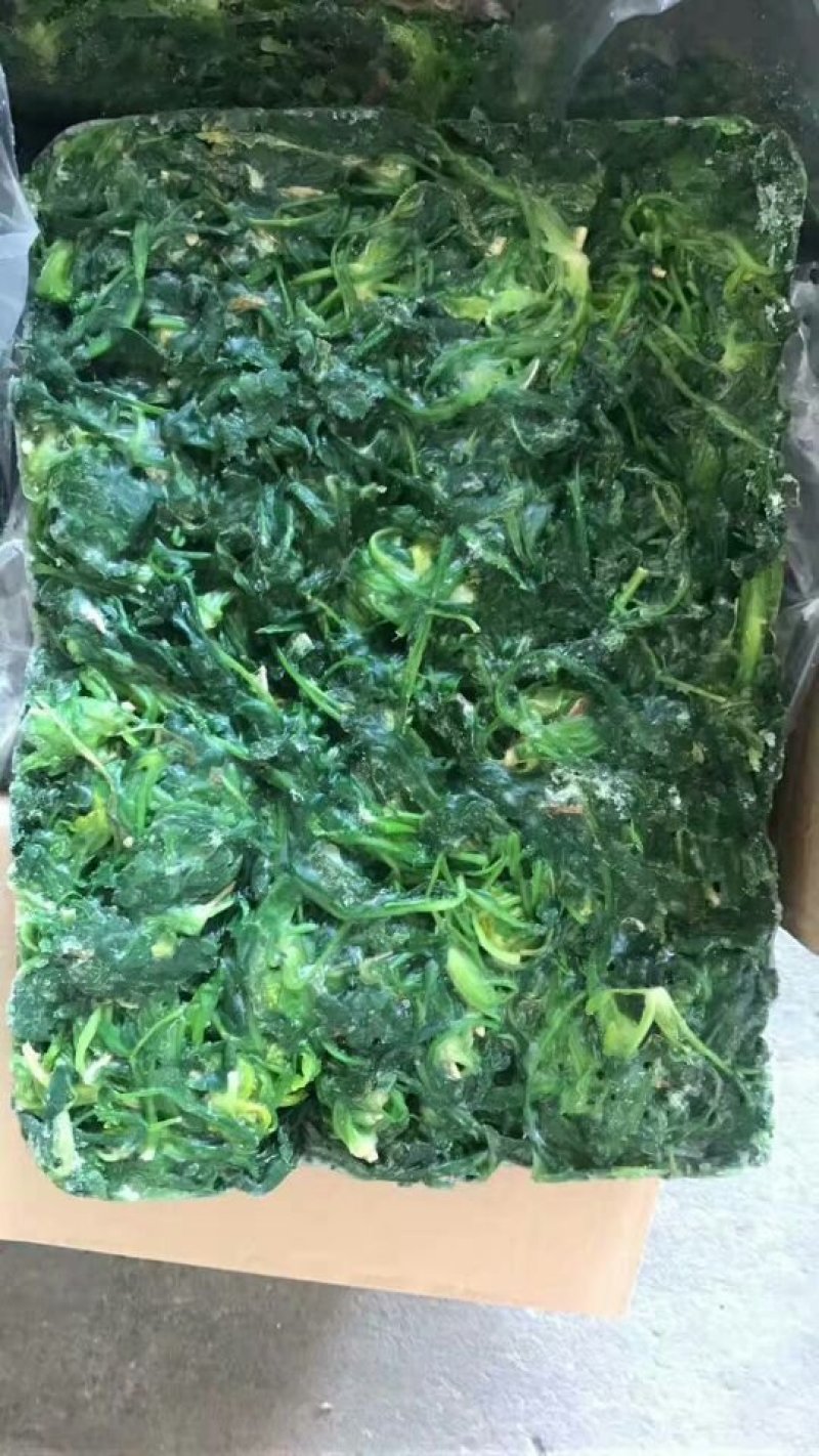 荠菜10cm以上，地菜，荠荠菜包饺子馄饨