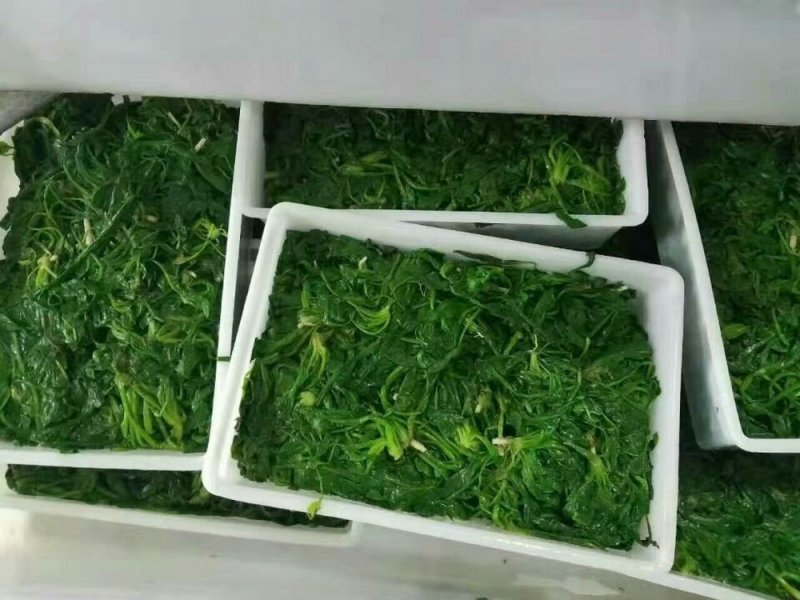 荠菜10cm以上，地菜，荠荠菜包饺子馄饨