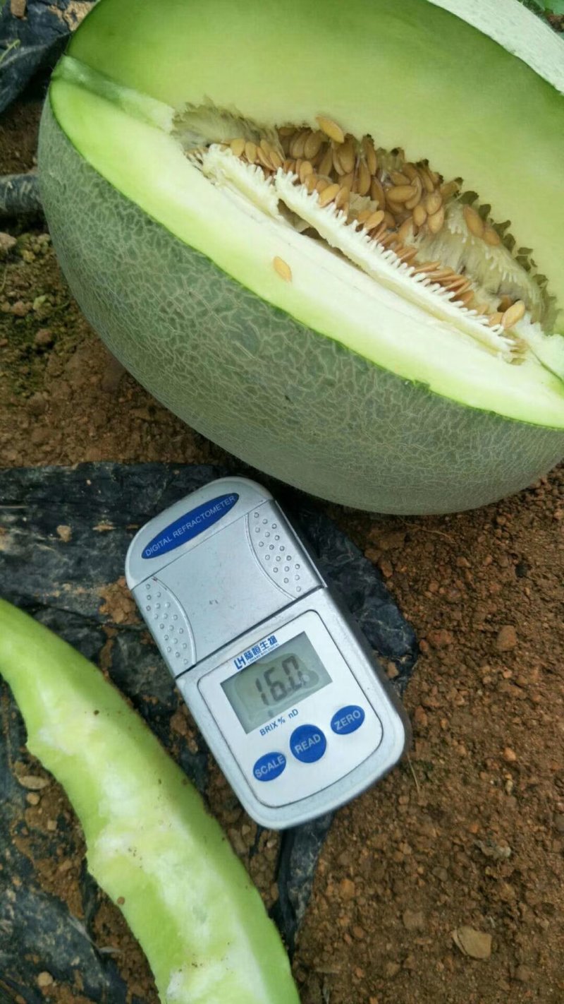 有现货
