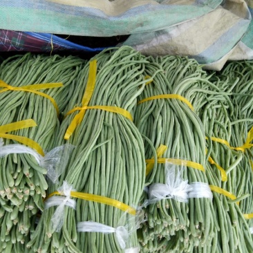 长豆角细条长豆角深绿