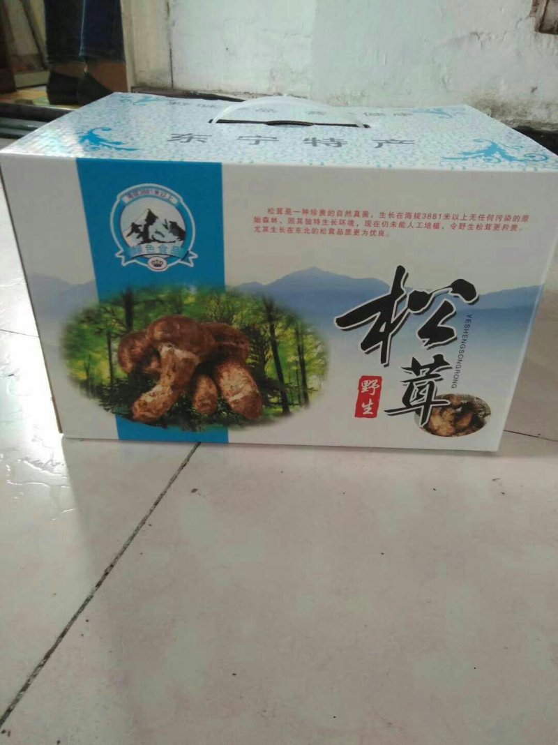 出售自家山场松茸礼品松茸货源充足，全年供货代发全国