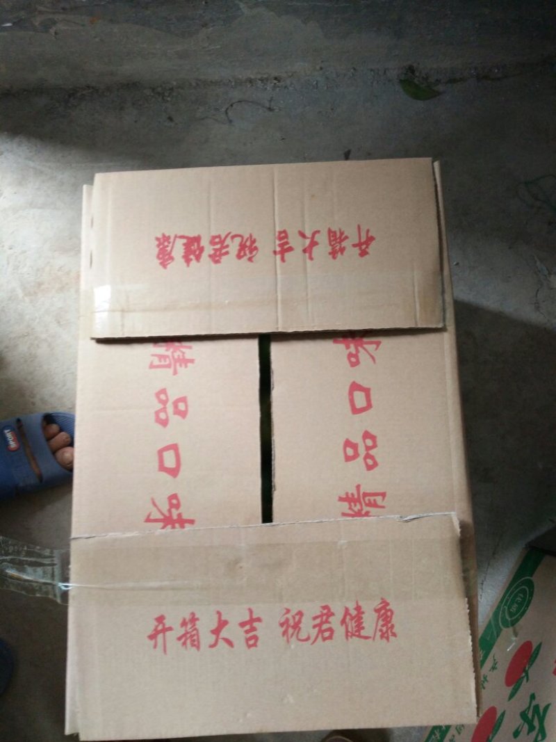 【优选】东江湖蜜橘60cm以上，皮薄、入口化渣