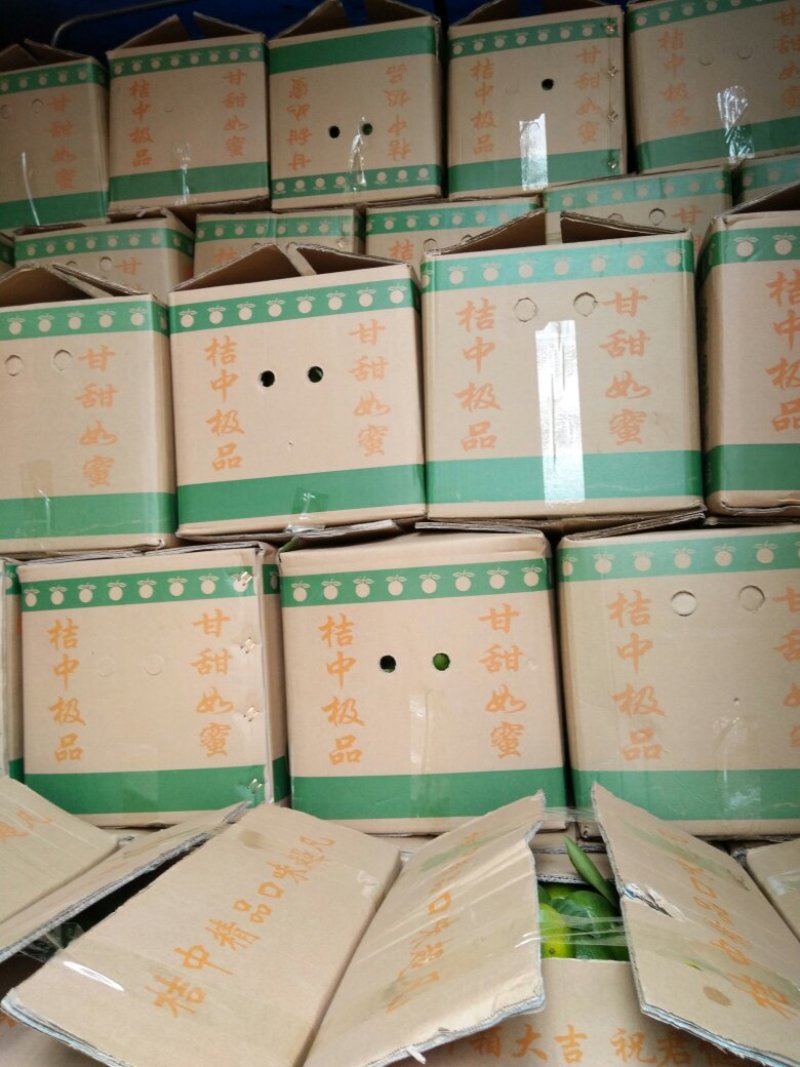 【优选】东江湖蜜橘60cm以上，皮薄、入口化渣