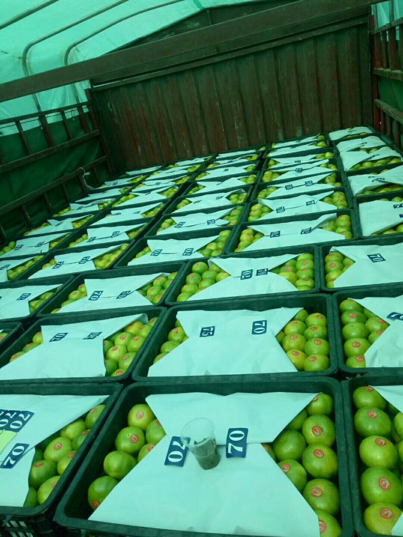【优选】东江湖蜜橘60cm以上，皮薄、入口化渣