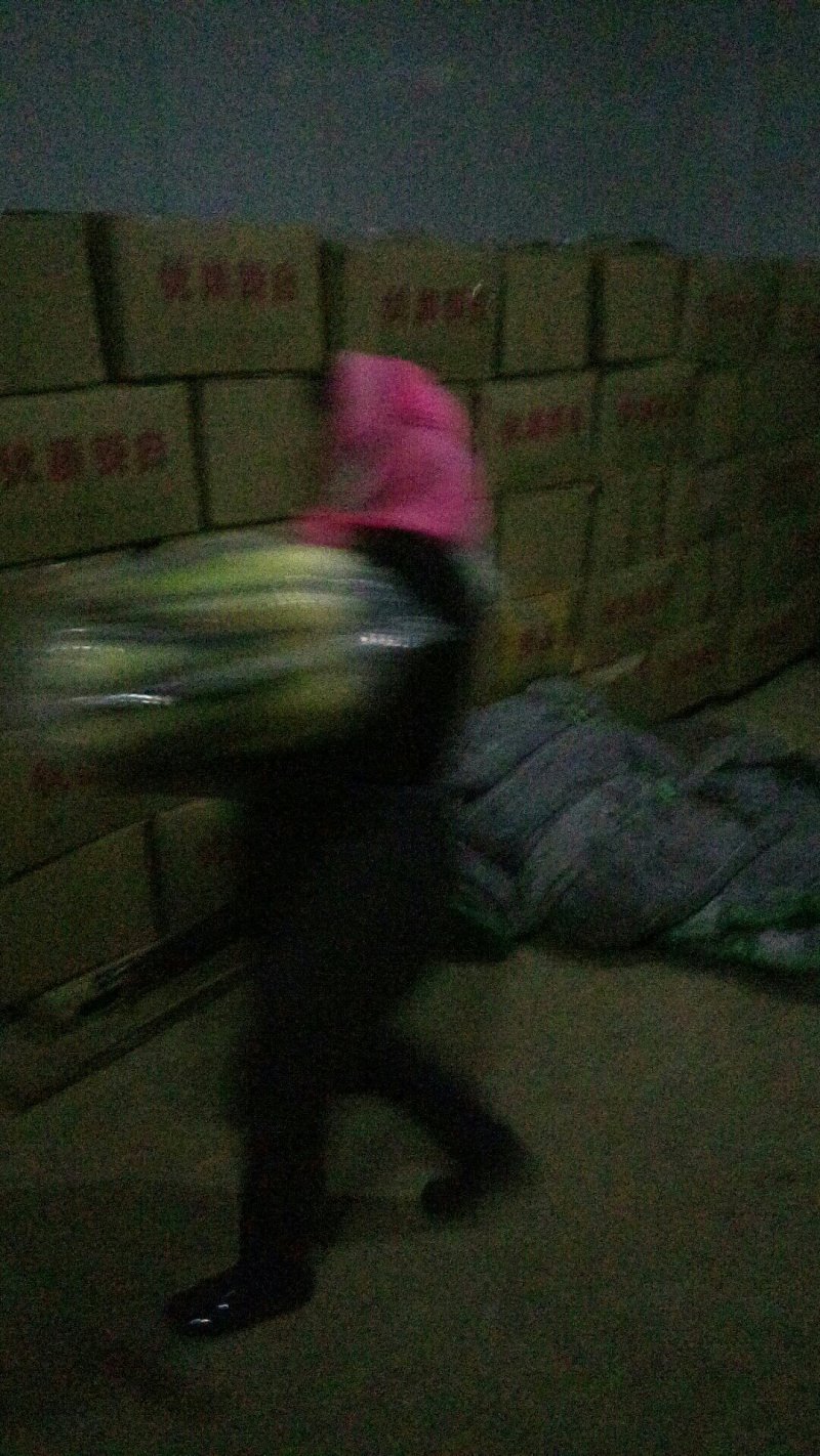 双季茭白，大白茭，单季茭白，冬茭