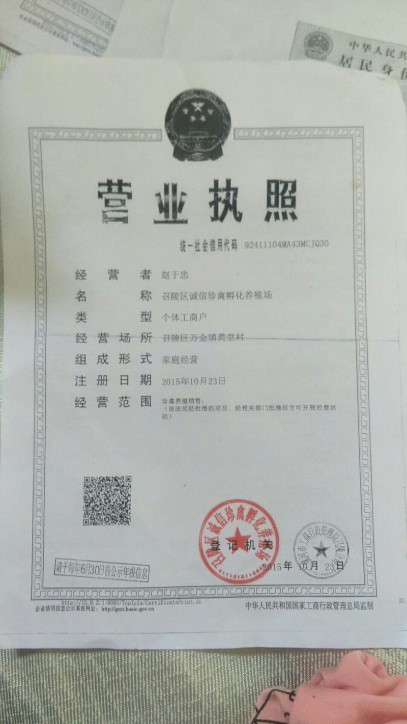 豫中鸡鸭鹅苗孵化脱温养殖场,