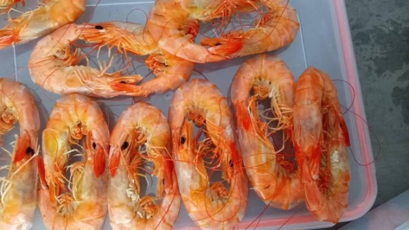 对虾干