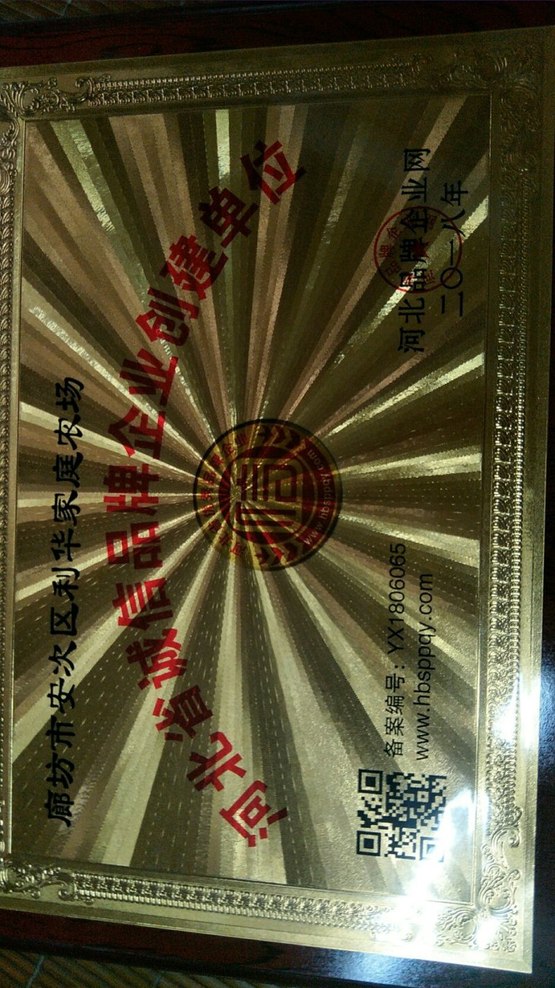 烟薯25