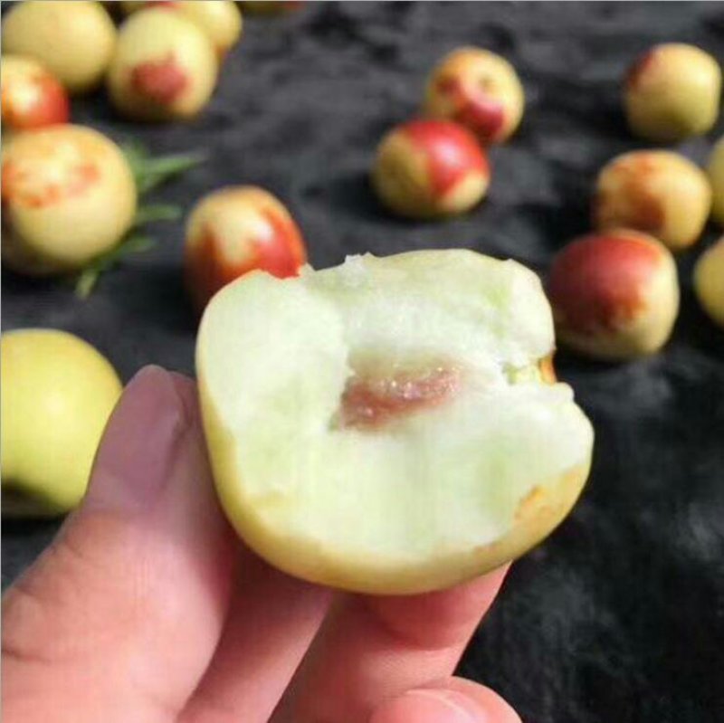 电商供应链对接直播带货社区团购美团多多基地一手货源