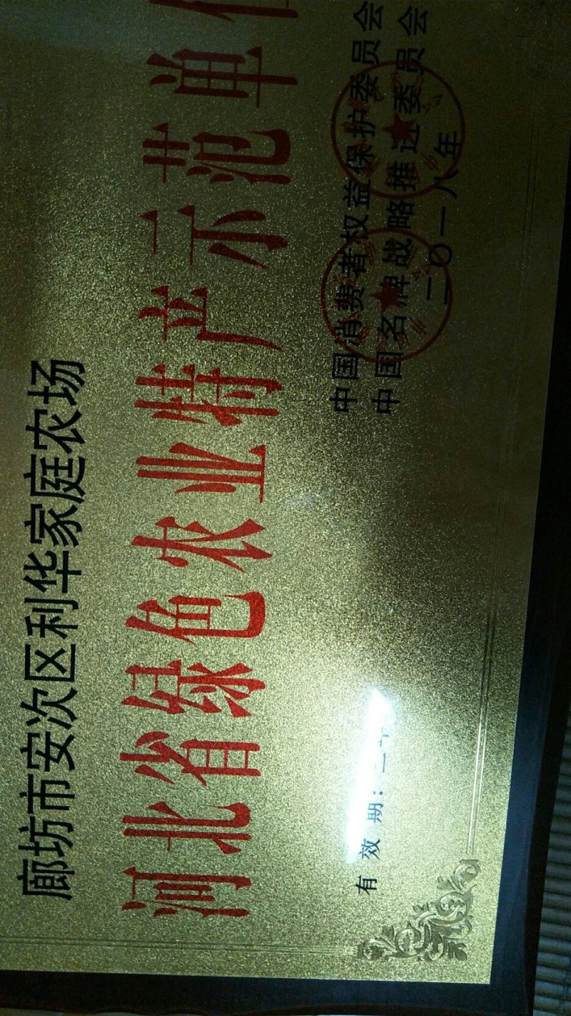 烟薯25