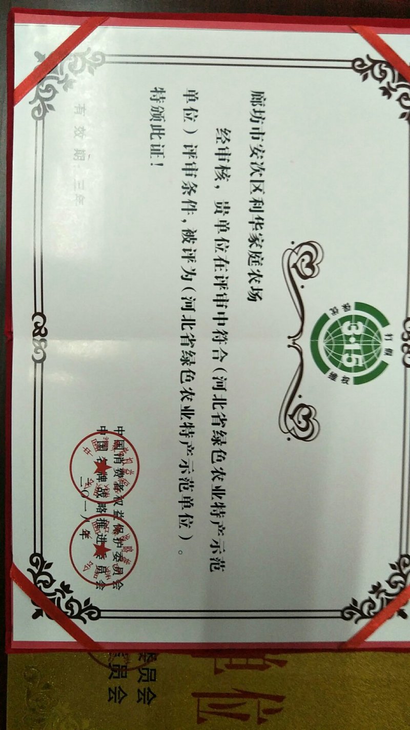 烟薯25