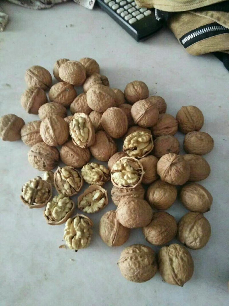薄皮核桃