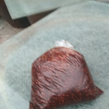 酱豆