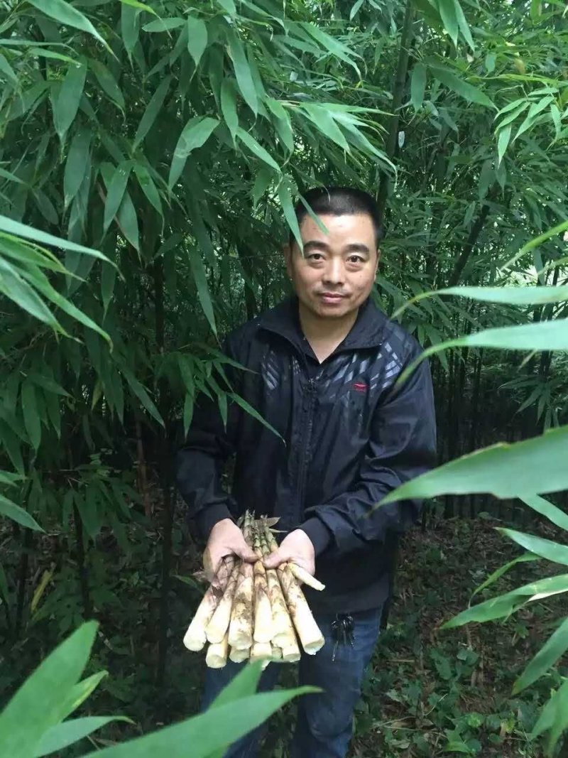 八月笋