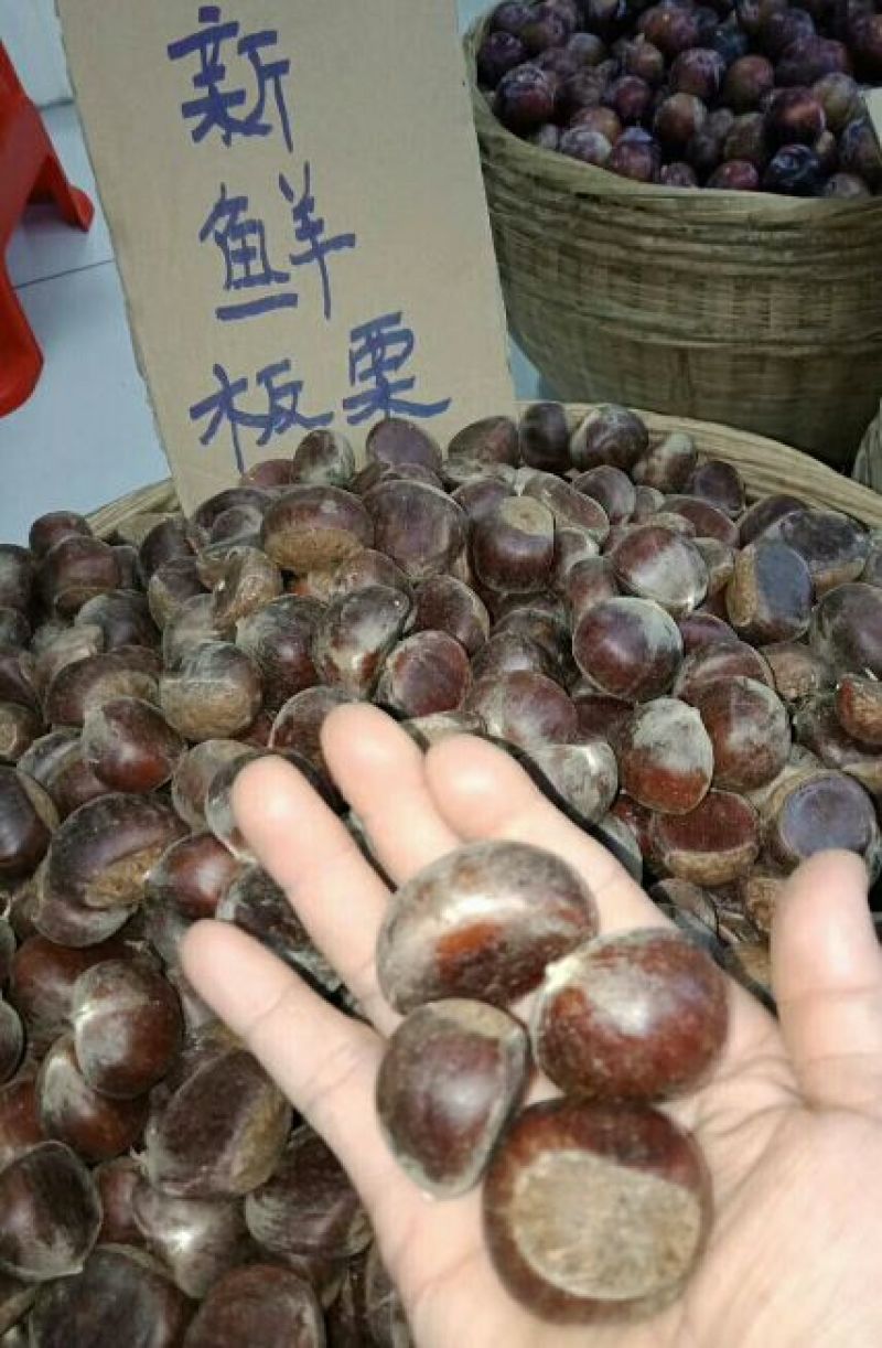 有板栗了，货源远流长