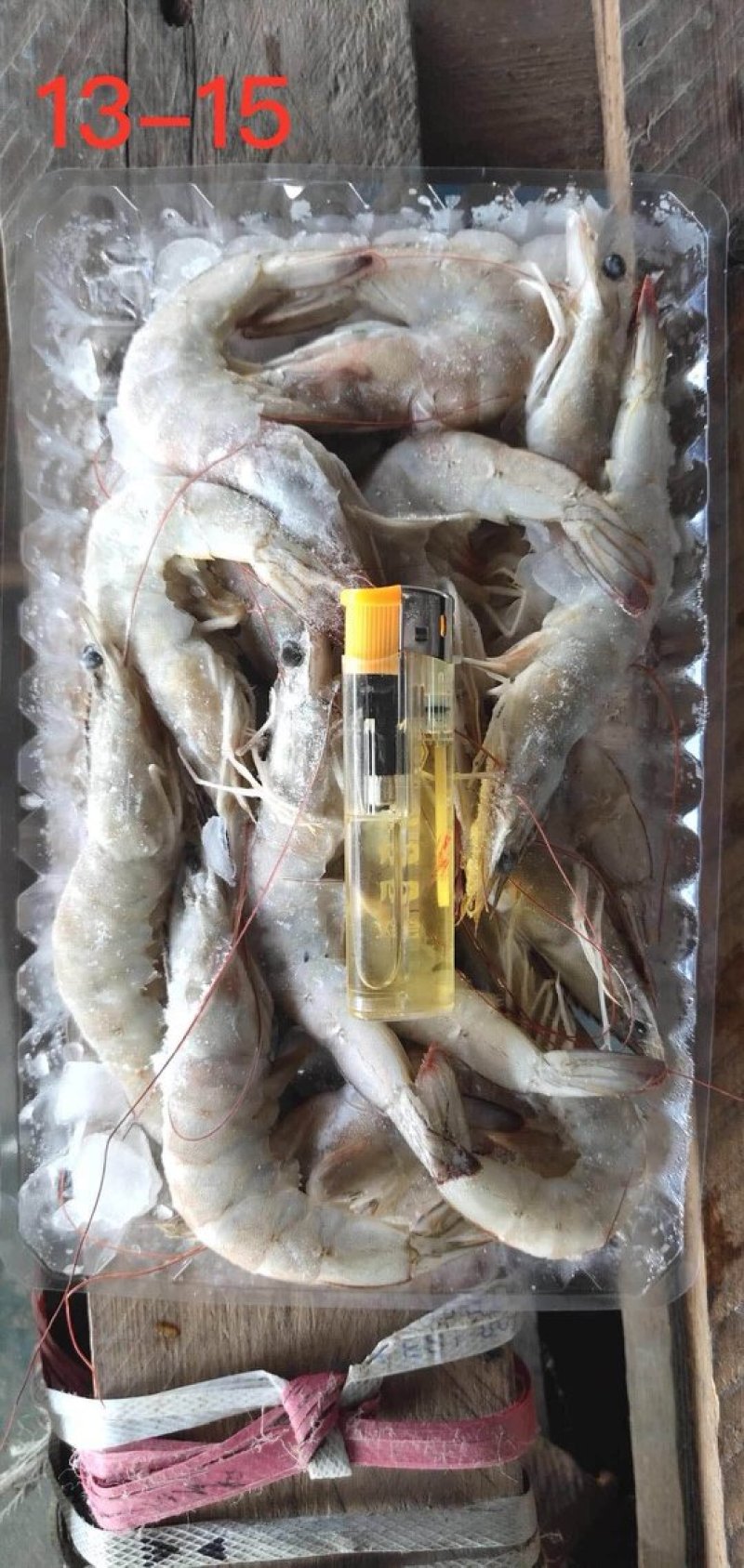 南美白对虾