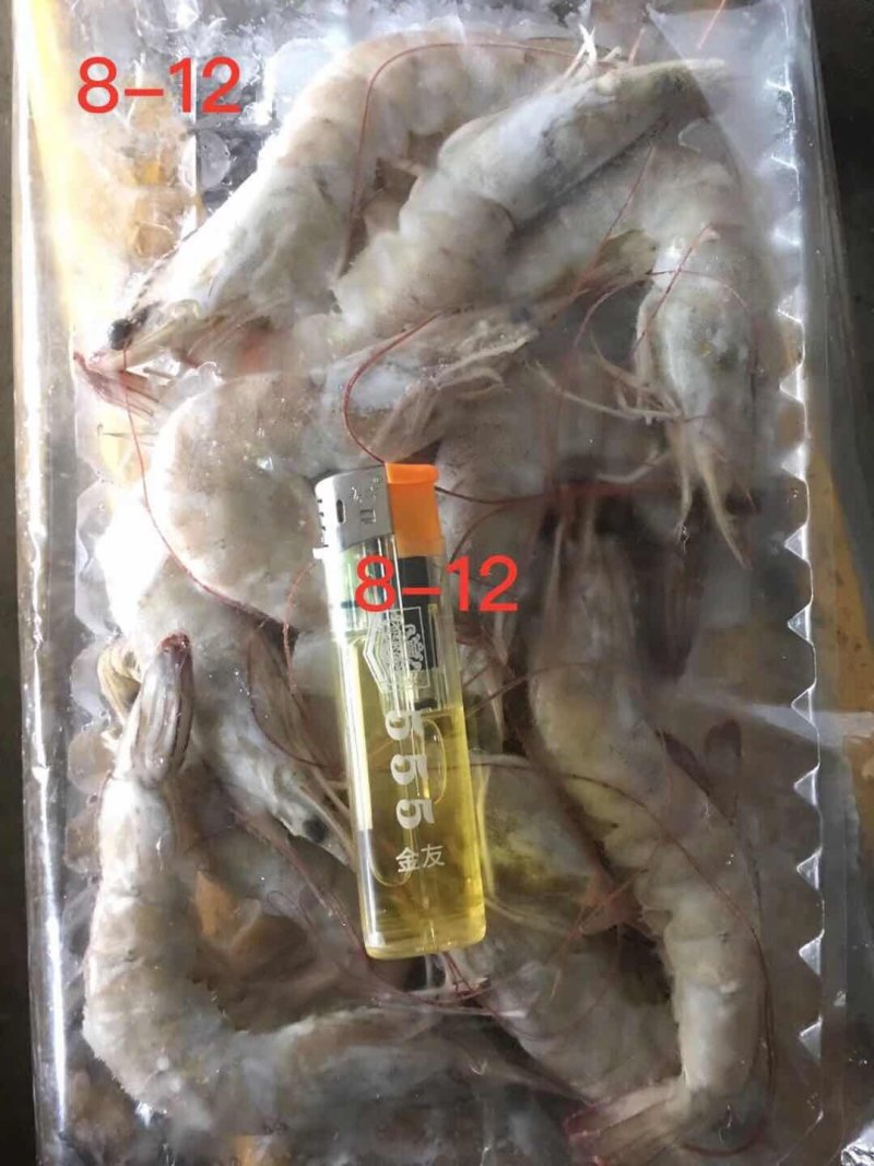 南美白对虾