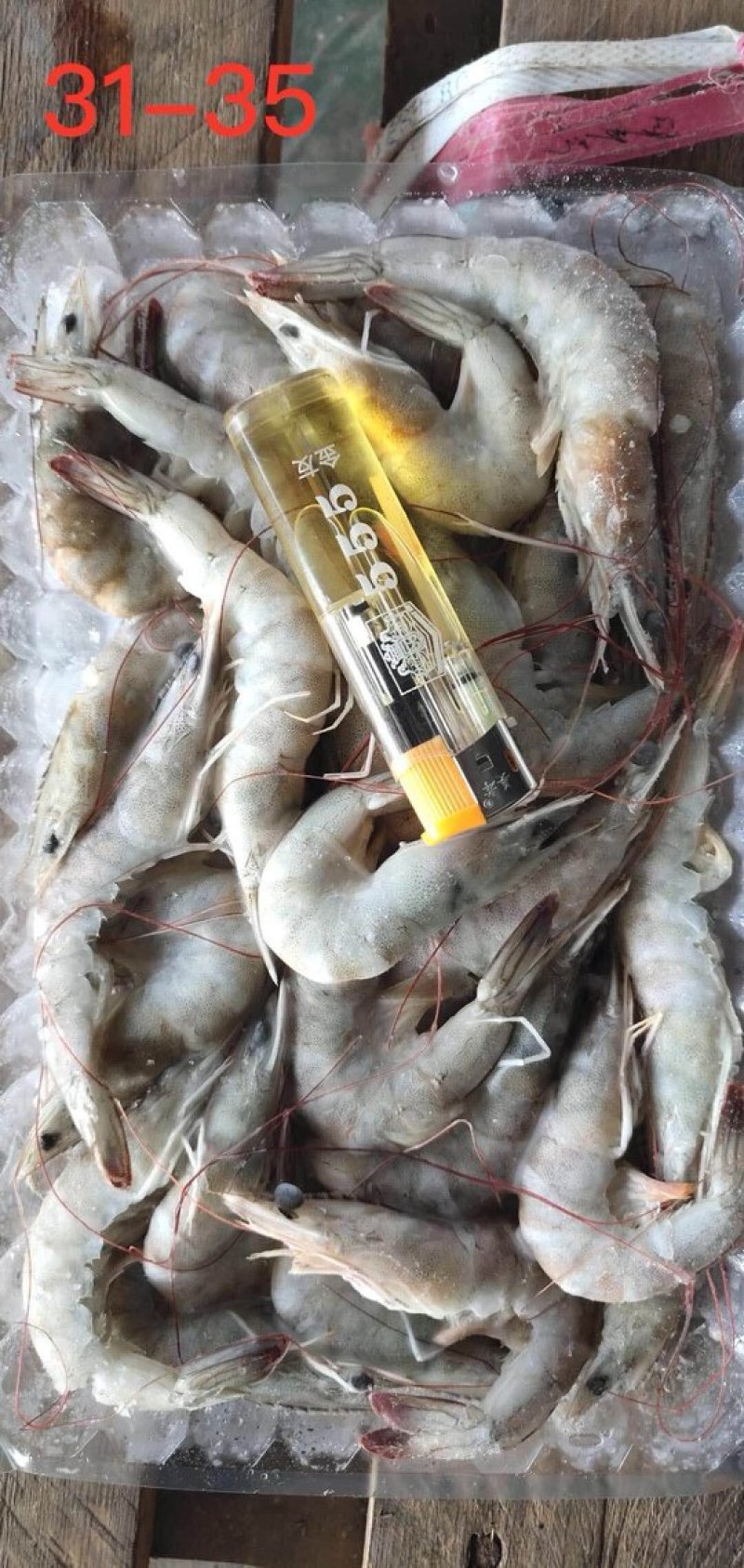 南美白对虾