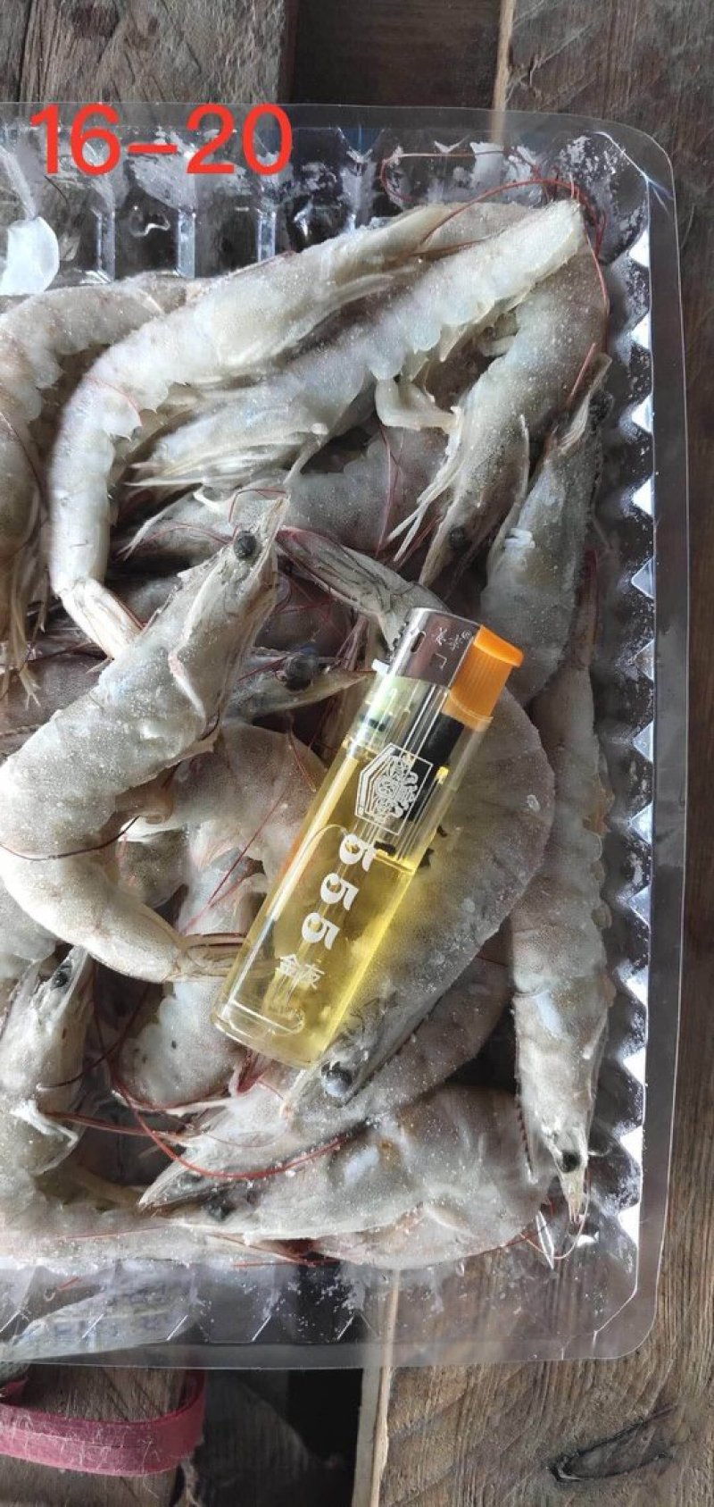 南美白对虾
