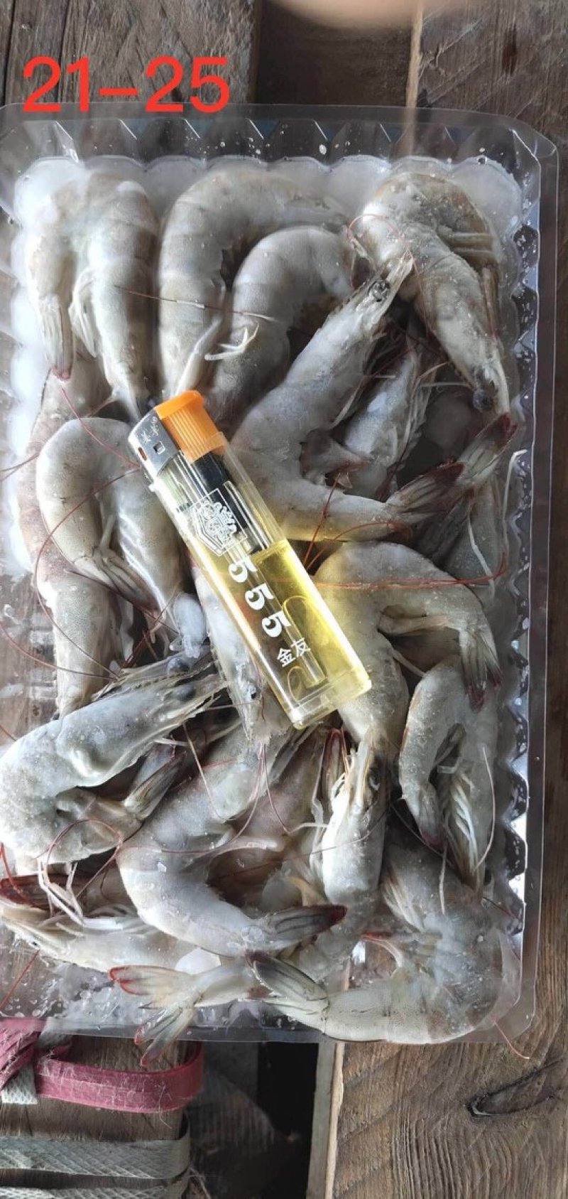 南美白对虾