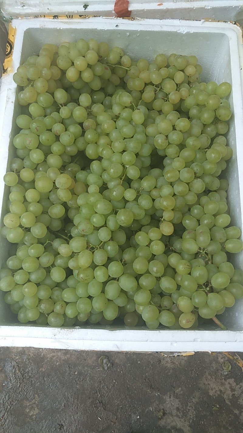 兰玉青提