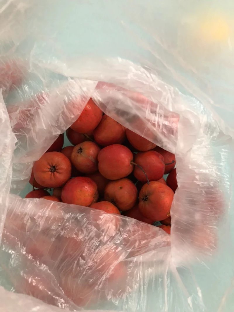 山东蒙阴新鲜山楂5斤装提供微商电商代发货