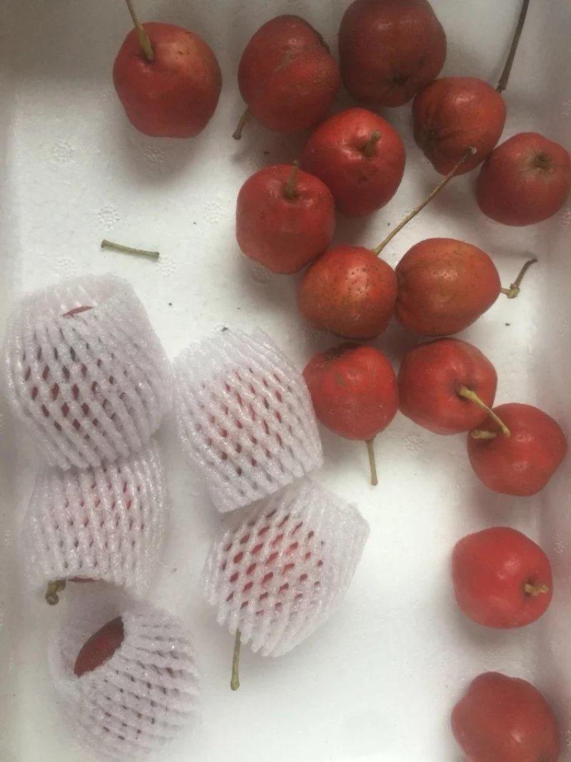 山东蒙阴新鲜山楂5斤装提供微商电商代发货