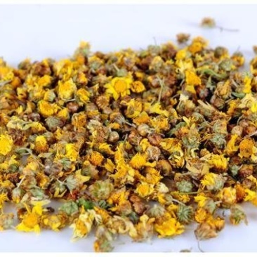 专业供应农村纯正干货野菊花