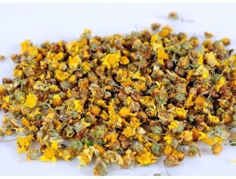 专业供应农村纯正干货野菊花