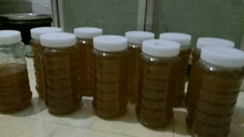 【野生土蜂蜜】云南土蜂蜜，商超专供，对接批发，包质量