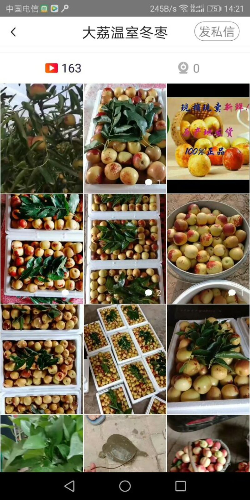 大荔冬枣