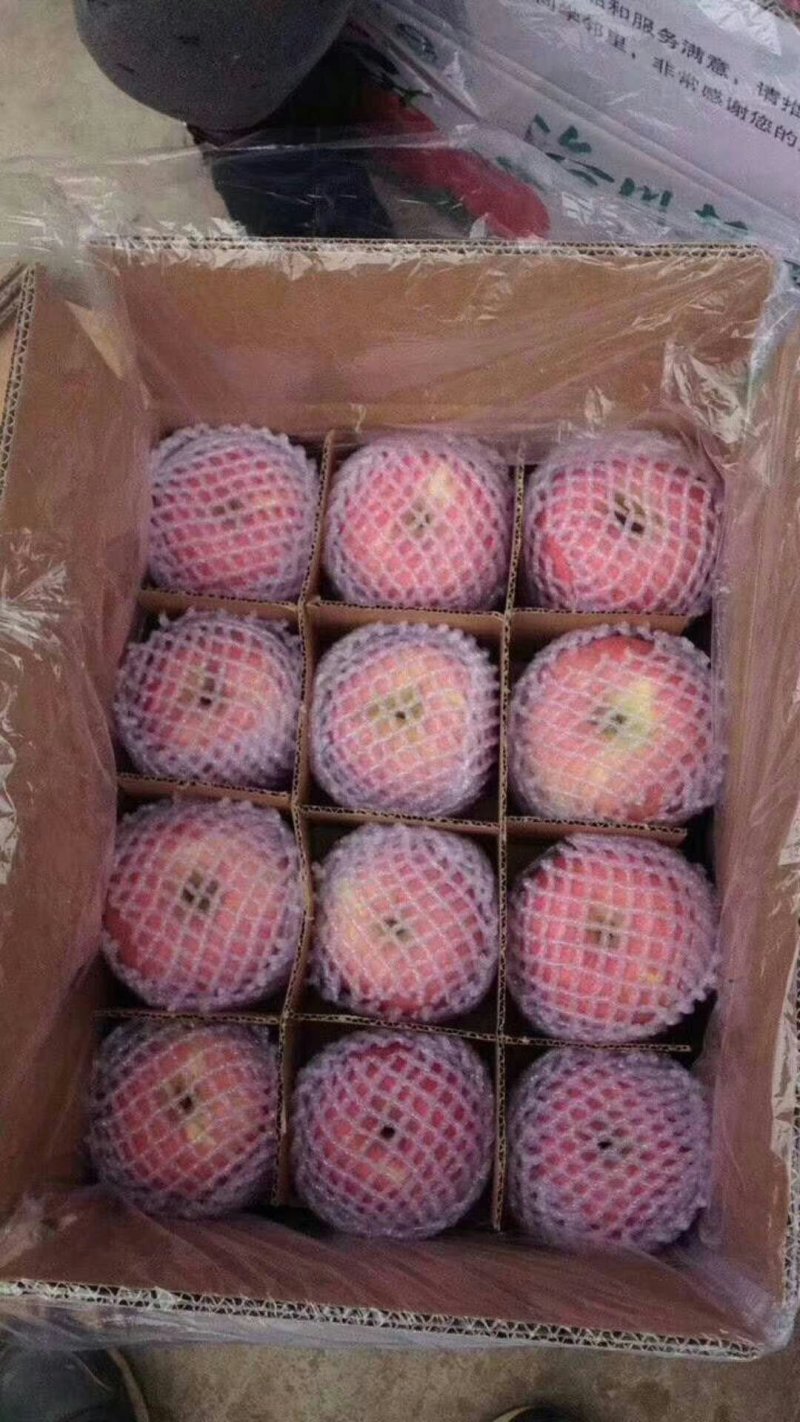 红星苹果产地供应保质保量中秋礼品包装欢迎采购
