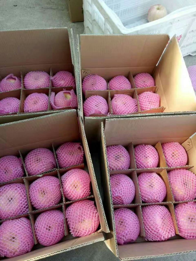 红星苹果产地供应保质保量中秋礼品包装欢迎采购