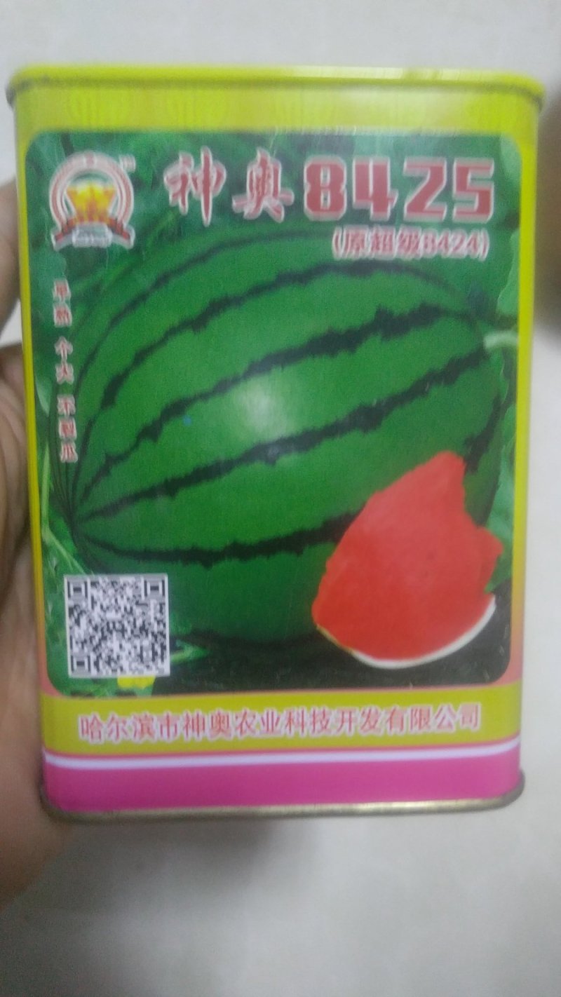 西瓜种子8425