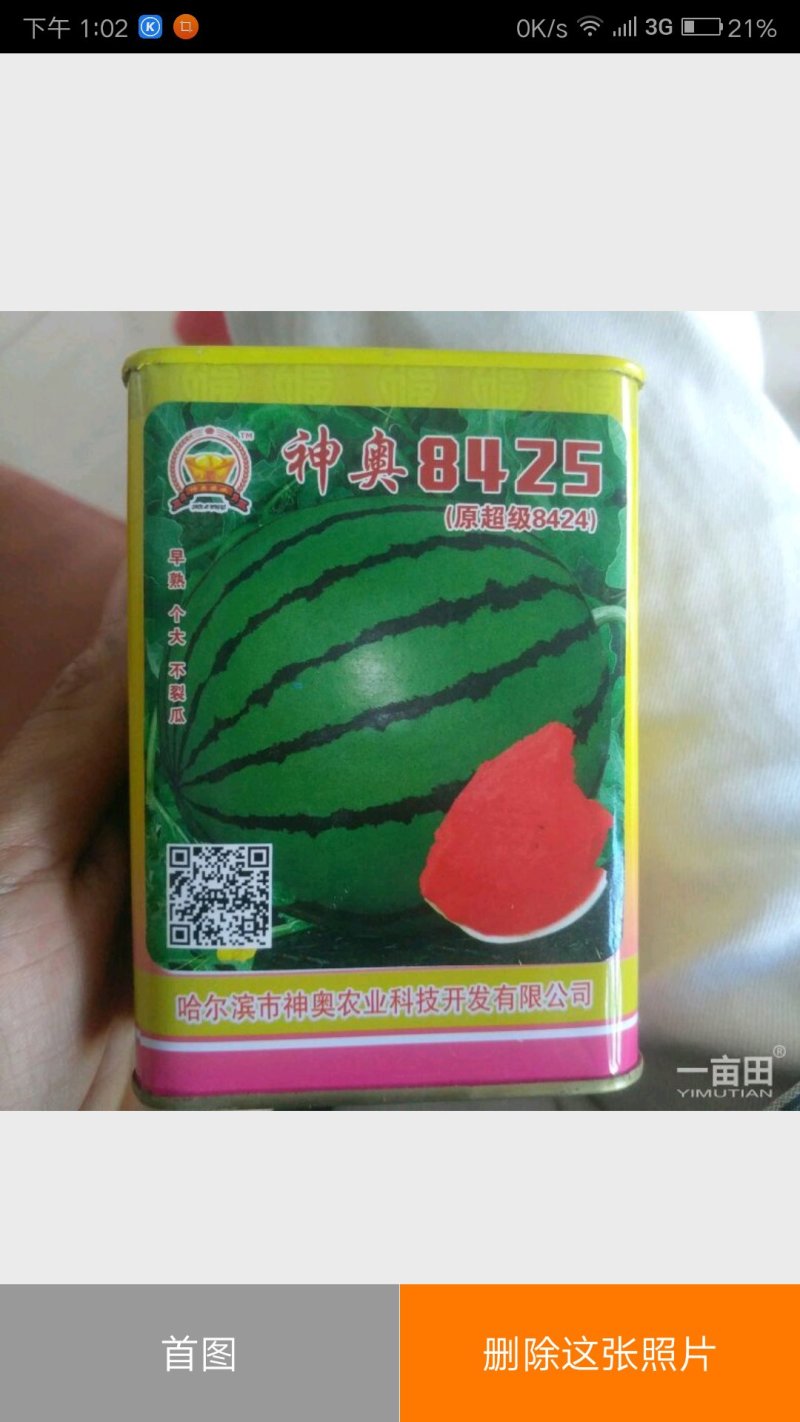西瓜种子8425