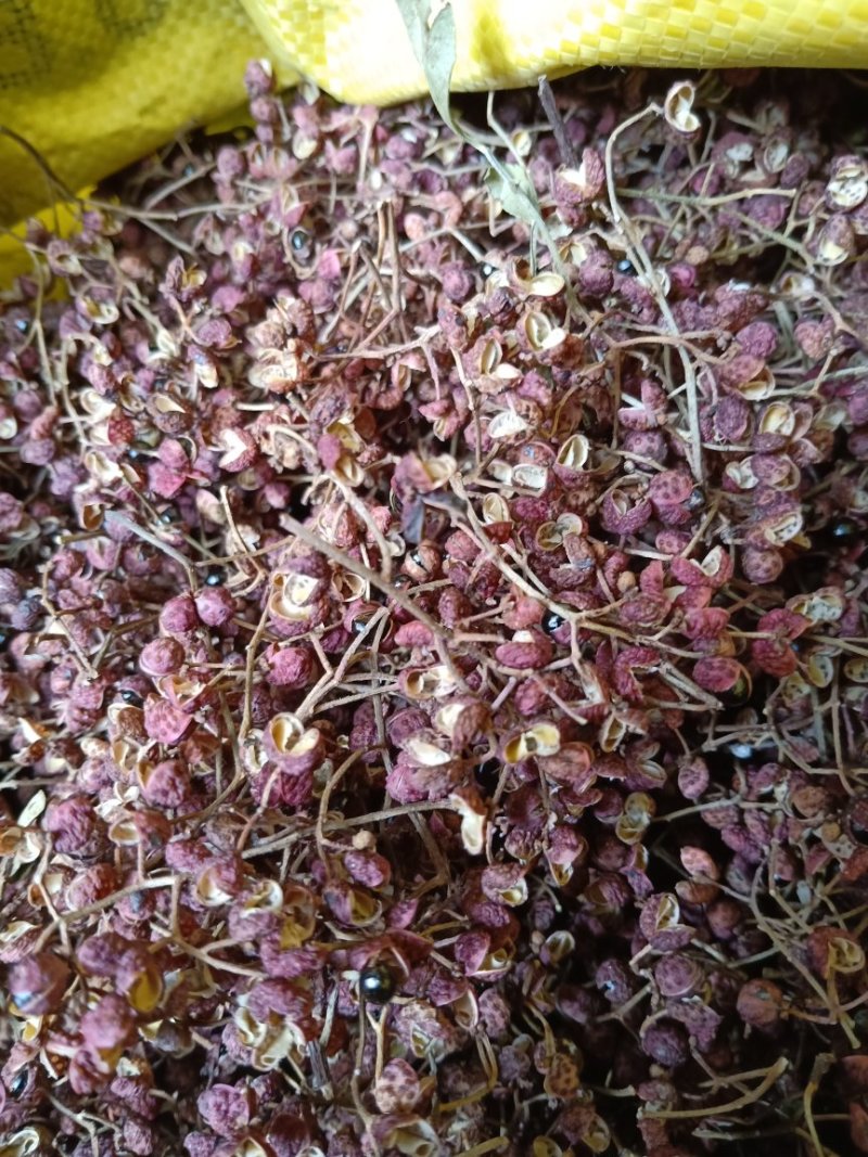 大红袍花椒