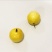 黄金百香果80~90g黄果