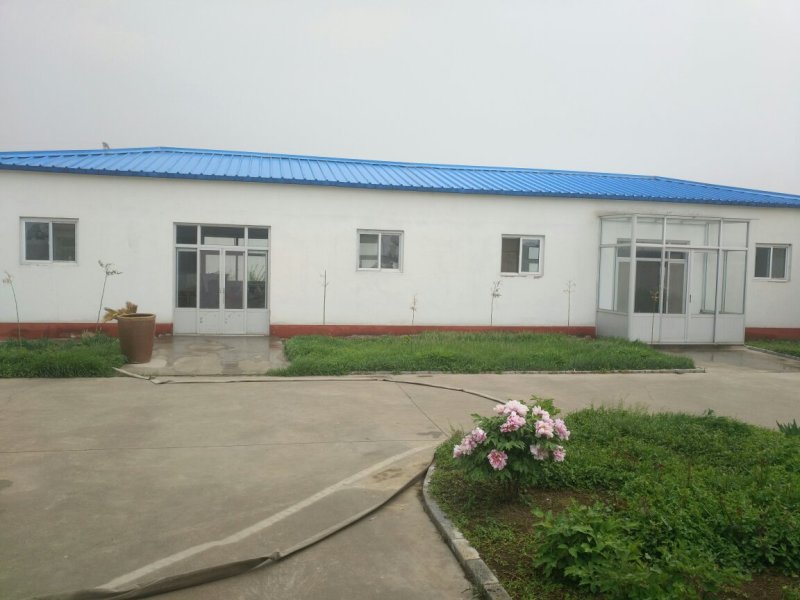 养殖