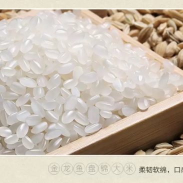 秦晓光
