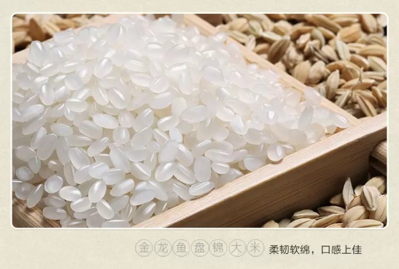 秦晓光