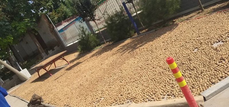 脱皮干核桃