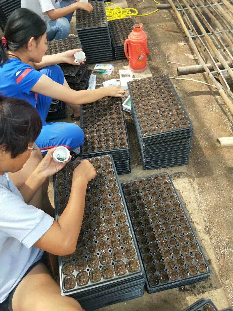 育苗基质，多肉育苗土，花卉育苗，林木育苗土厂家直销