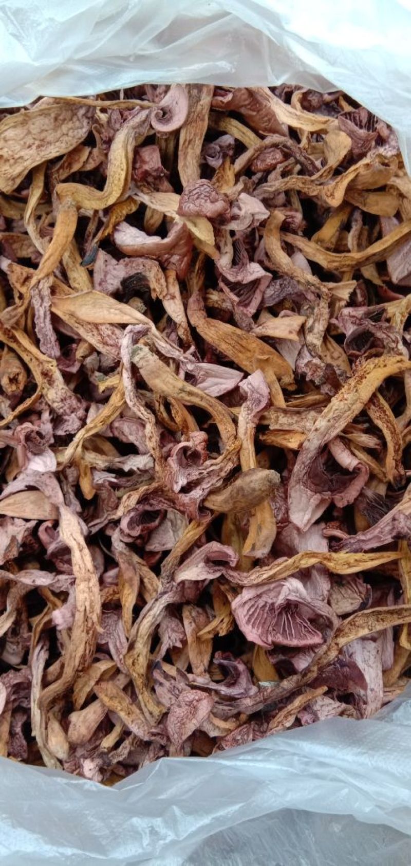 纯野生蘑菇，松蘑，肉蘑，榛蘑，木耳蘑，